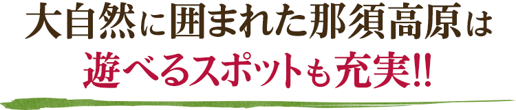 大自然に囲まれた那須高原は遊べるスポットも充実！！