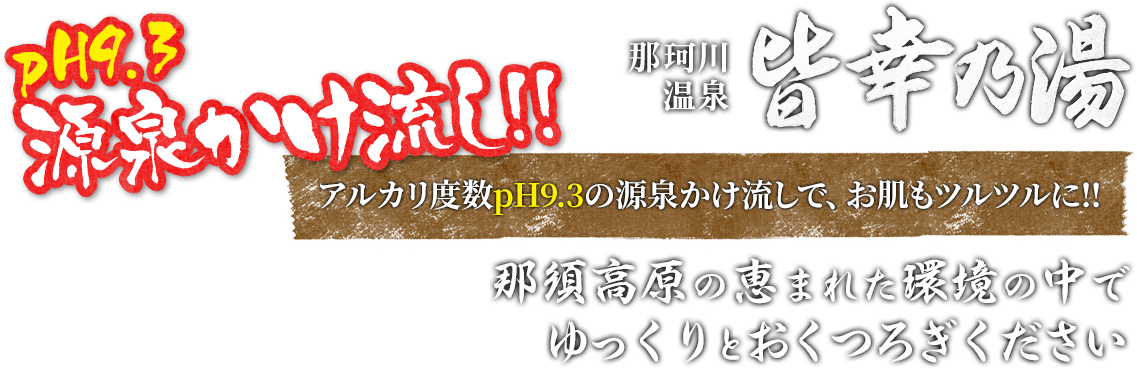 pH9.3源泉かけ流し!!那珂川温泉皆幸乃湯