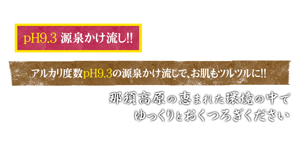 那珂川温泉 皆幸乃湯 ホテルアライ公式サイト 那珂川温泉 皆幸乃湯 ホテルアライ公式サイト